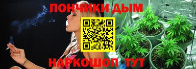 шишки Баксан